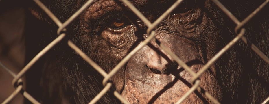 northern beaches stress